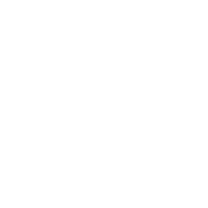 Governance & security-icon-2